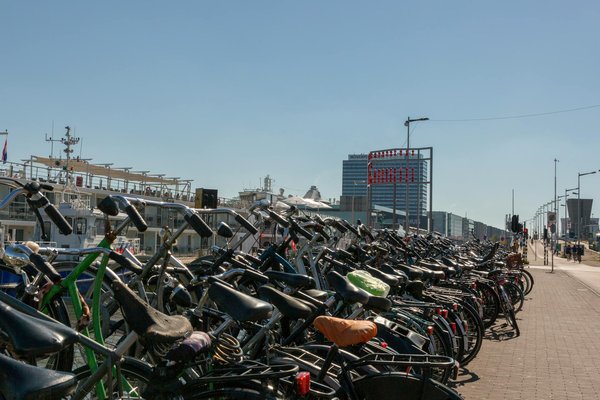 Les sols : des alliés méconnus contre le changement climatique ?